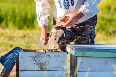 Arı yetiştiricisi arılarla ve arı kovanlarıyla çalışıyor. Arı yetiştiricisi arıda.
