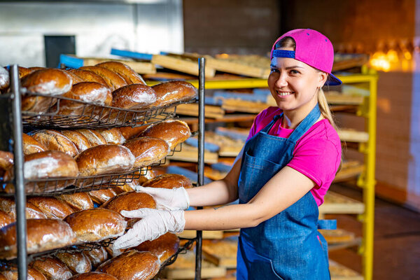 The baker holds hot bread on the background of shelves with bread in the bakery. Industrial bread production