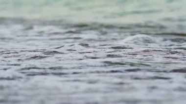 Akşamları beyaz köpükle sahilde akan deniz suyu. Okyanusun kenarında köpük dalgaları sahil şeridine çarpıyor. Yakın plan..