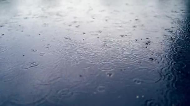 外面有许多雨滴落在蓝色的水里 深色水底下着大雨 雨滴落在池塘 河流的水面上 形成了均匀的背景 — 图库视频影像