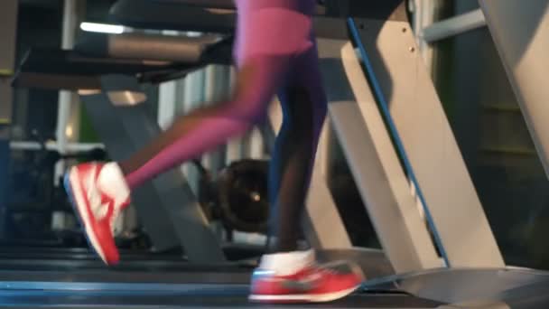 Hermosa Mujer Haciendo Ejercicios Gimnasio Concepto Fitness — Vídeo de stock