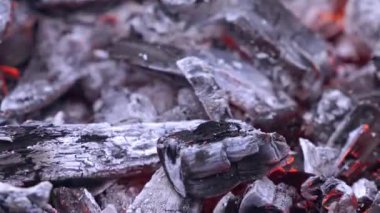 Yakıcı ateşe yakın durun. Kamp ateşinde yakacak odun parçaları.