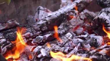 Yakıcı ateşe yakın durun. Kamp ateşinde yakacak odun parçaları.