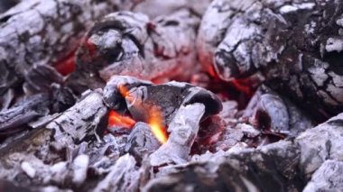 Yakıcı ateşe yakın durun. Kamp ateşinde yakacak odun parçaları.