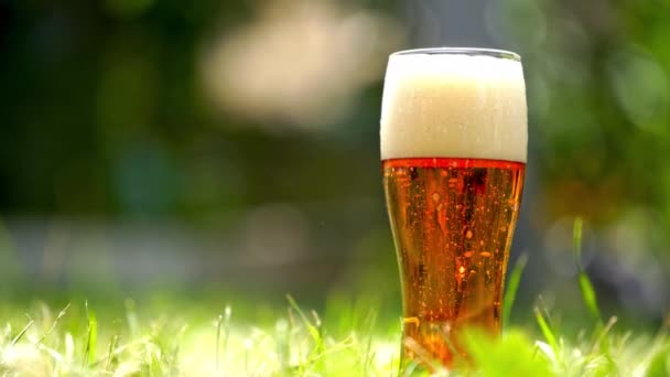 Close Dark Beer Bubbles Blur Green Background Summer — Stock Video