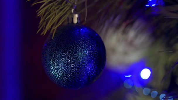 圣诞的时候 在松树上挂着蓝色的大饰物 圣诞和新年装饰 在闪烁的灯光背景下的圣诞舞会 — 图库视频影像