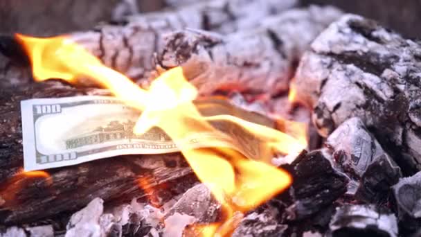 Amerykańskie Dolary Ogniu Pieniądze Płoną Wielkim Ognisku Świeżym Powietrzu — Wideo stockowe