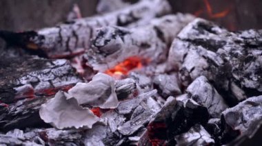 Yakıcı ateşe yakın durun. Kamp ateşinde yakacak odun parçaları.