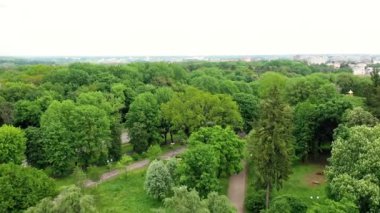 Parktaki ağaçların tepesinde uçmak. Yaz aylarında düzgün yolları olan güzel yeşil ağaçların panoramik manzarası.