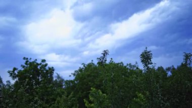 Gökyüzünde şimşek fırtınası. Karanlık bulutlu gökyüzüne düşen yıldırımın görüntüsü