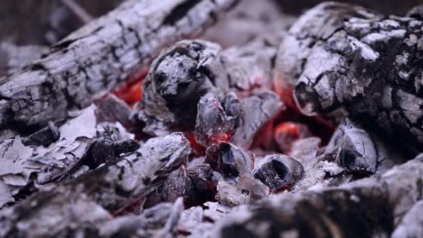Yakıcı Ateşe Yakın Durun Kamp Ateşinde Yakacak Odun Parçaları — Stok video