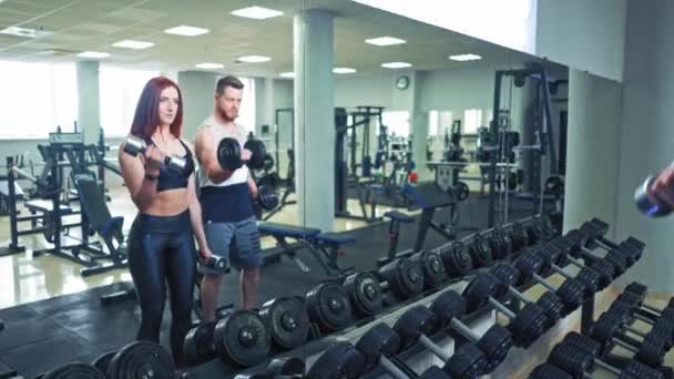 Healthy couple in sport clothes lifting dumbbells in the gym. Attractive woman and handsome man doing workout with dumbbells standing in special pose in the sports club. — Stock Video