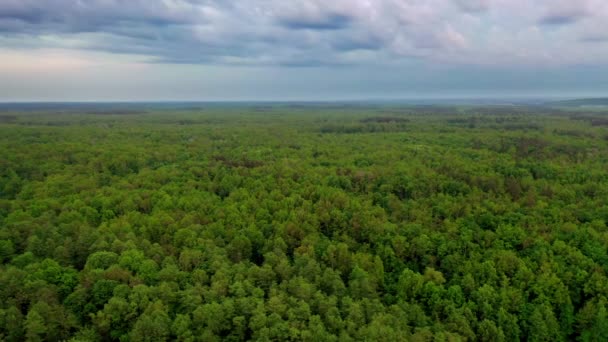 Hava Aracı Bulutlu Gökyüzünün Altında Yeşil Ormanlık Alanın Üzerinde Uçuyor — Stok video
