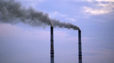 Yeşil ormandaki hava manzarası ve bitki dumanlı borular. Nehir kenarındaki ormanlık arazi ve nehir kıyısındaki sanayi fabrikası..