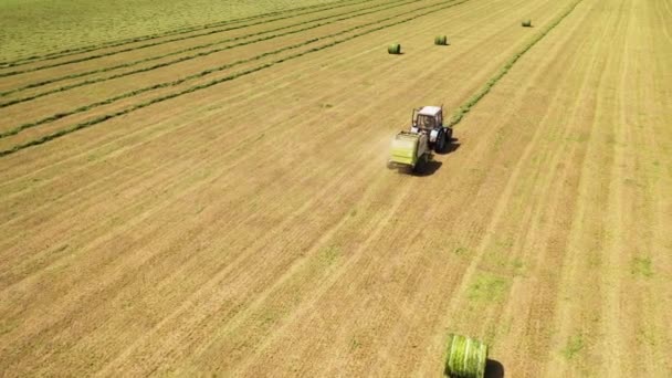 現代機械の農業プロセス 田舎の晴れた日に収穫中の草原の空中ビュー — ストック動画