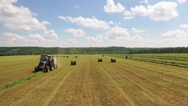 Vue Latérale Tracteur Agricole Travaillant Sur Terrain Travaux Saisonniers Pour — Video