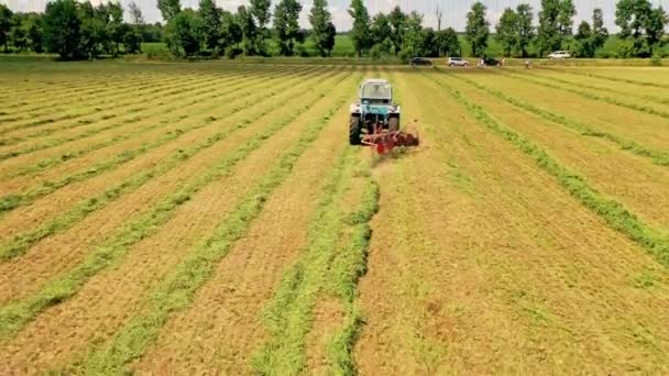 Tarımda Yeşil Çimlerin Olduğu Bir Süreç Traktör Yazın Güneşli Bir — Stok video