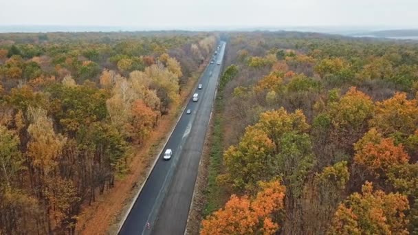 Vista Aérea Estrada Outono Com Carros Muitos Carros Estão Movendo — Vídeo de Stock