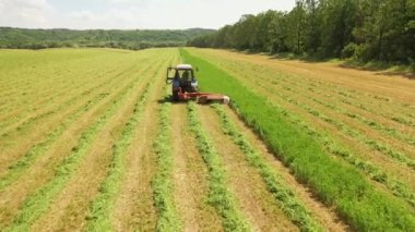 Traktör yeşil çimenleri biçiyor. Yazın kırsal kesimde çiftlik hayvanlarına yem hazırlama süreci.