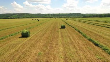 Kırsal kesimde doğal arka planda balyalar olan bir alan. Kış boyunca evcil hayvanları beslemek için hayvan yemi olarak sarılmış kurutulmuş ot balyaları. Kamera sola hareket ediyor.