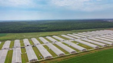 Doğal arka plandaki büyük çiftlik manzarası inanılmaz. Yazın çiftlik hayvanları için modern bir tarım kompleksinin havadan görünüşü. Yavaş çekim.