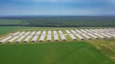 Modern çiftliğin büyük bir alanı çiftlik hayvanları için. Yeşil tarlaların ve ormanların arka planında kümes hayvanları için yeni binalar bulunan geniş bir bölge. Hava görünümü.