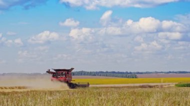 Yaz günü sarı tarlada tarım süreci. Buğday biçme makinası doğal arka planda buğday kesiyor..