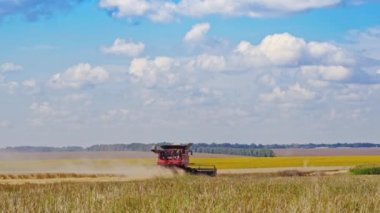 Kırsal kesimde tarımsal makineler tarlada çalışıyor. Güneşli yaz gününde tarım arazilerinde hasat. Ekin ekme konsepti.