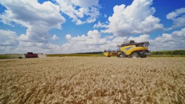 Mavi gökyüzünün altında çalışan iki modern birleşim. Buğday toplama işlemi sırasında tarımsal arka plan açık havada.