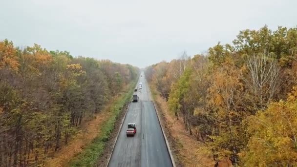 Estrada Florestal Durante Reconstrução Drone Vista Longo Nova Estrada Asfalto — Vídeo de Stock