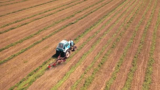 从空中俯瞰着一个巨大的农田和农业工程 拖拉机在阳光明媚的夏日洒满青草 相机从底部向上移动 — 图库视频影像