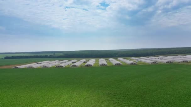 屋外の巨大な近代的な農場へのサイドビュー 夏の日に緑のフィールドに囲まれた近代的な農業複合体 ドローンビュー — ストック動画