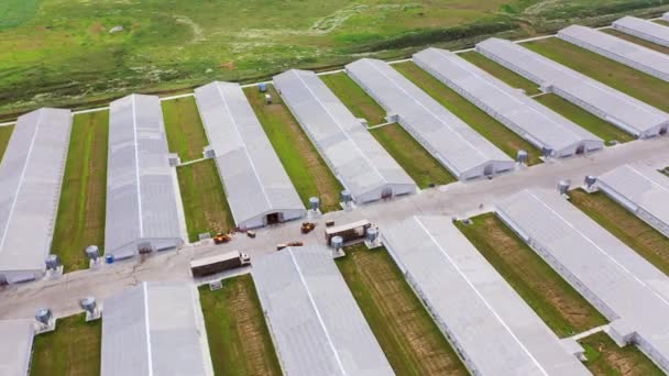 Vue Aérienne Sur Complexe Agricole Contemporain Vol Dessus Territoire Agricole — Video