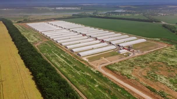 Vista Aérea Galinheiros Modernos Nova Área Construção Para Gado Fundo — Vídeo de Stock