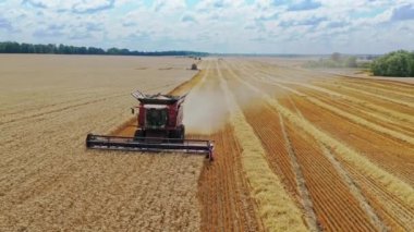 Mevsimlik çalışmalarda kuru tahıl toplayan modern bir hava görüntüsü. Yazın buğday tarlasında çalışmak. Tarım kavramı