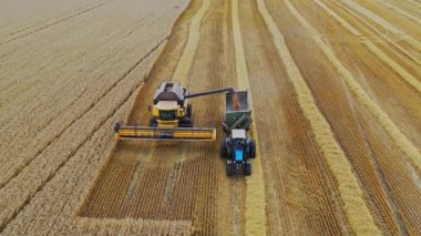 Tarladaki traktöre tanecikleri döken hava görüntüsü. Hammadde tarımsal makineden açık havada traktör kargo arabasına dökülüyor..