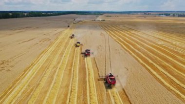 Sahada çalışan modern tarım makinelerinin havadan görünüşü. Birçok hasatçı, kırsal alandaki tarlanın sarı arka planında olgun tahıllar toplayarak birleştirir..
