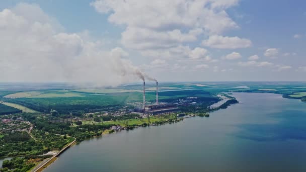 Vista Aérea Planta Margem Rio Verão Vista Cima Fundo Natural — Vídeo de Stock