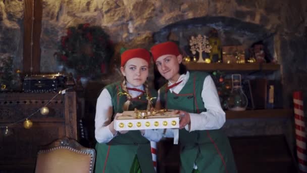 クリスマスの装飾された部屋で魔法の本と楽しいエルフ 美しい箱を保持し 上から輝きを吹いて緑の衣装で2つのエルフ — ストック動画