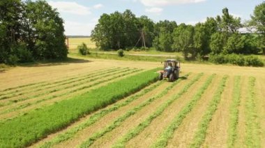 Traktör kırsalda yeşil çimenleri kesiyor. Çimenlerdeki tarım süreci yeşil ağaçların yanında gerçekleşiyor. Yaz günü tarlada hayvanlara çim biçmek için traktör makinesi.