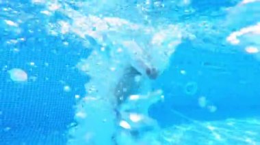 Çocuk havuzda temiz suya atlıyor. Genç adam mavi arka planda suya atlıyor. Havuzun içinde köpüklü su.