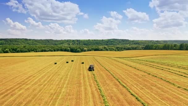 Krásná Scenérie Pole Blízkosti Zeleného Lesa Létě Zemědělský Traktor Poli — Stock video