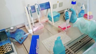 Laboratuvarda kan örneği toplamak için vakum tüpleri. Araştırma laboratuarında elinde kan tüpü testi tutan teknisyen.