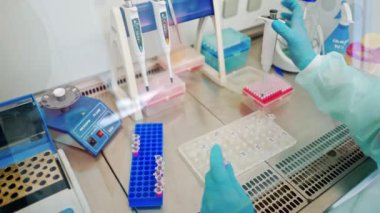 Laboratuvarda kan örneği toplamak için vakum tüpleri. Araştırma laboratuarında elinde kan tüpü testi tutan teknisyen.