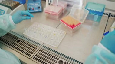 Test tüpleriyle çalışan bir laboratuvar asistanı. Laboratuvarda özel bir plastik tüp ile şişeleri sıvıyla dolduran koruyucu eldivenli kadın eller..