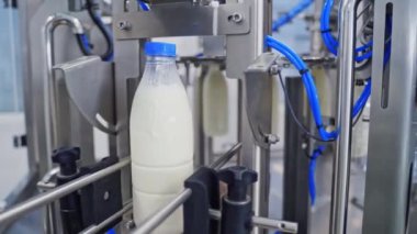 Plastik şişeler sütle doluyor. Süt, süt fabrikasındaki plastik şişelere dökülüyor.