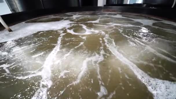 Zblízka Voda Krevetové Farmě Uvnitř Krevetový Farmářský Bazén Kyslíkovým Provzdušňovacím — Stock video