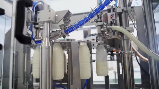Plastflaskor Fyllda Med Mjölk Mjölk Som Hälls Plastflaskor Mejerianläggningen — Stockvideo