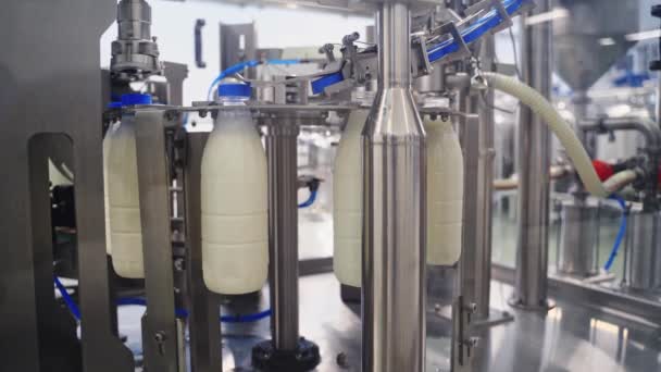 Plastikowe Butelki Wypełnione Mlekiem Mleko Wlewające Się Plastikowych Butelek Mleczarni — Wideo stockowe