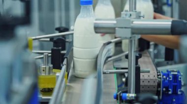 Plastik şişeler sütle doluyor. Süt, süt fabrikasındaki plastik şişelere dökülüyor.